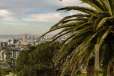 Garden at Ellerman House