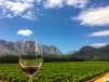 View of winery fields with glass of wine